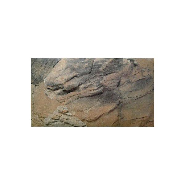 y݌ɕizjb\[wobNXN[600x