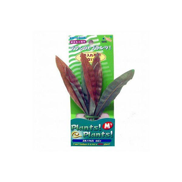 lH@RguLwvcvc@bho[NAx