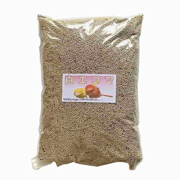 白エゴマ　1kg