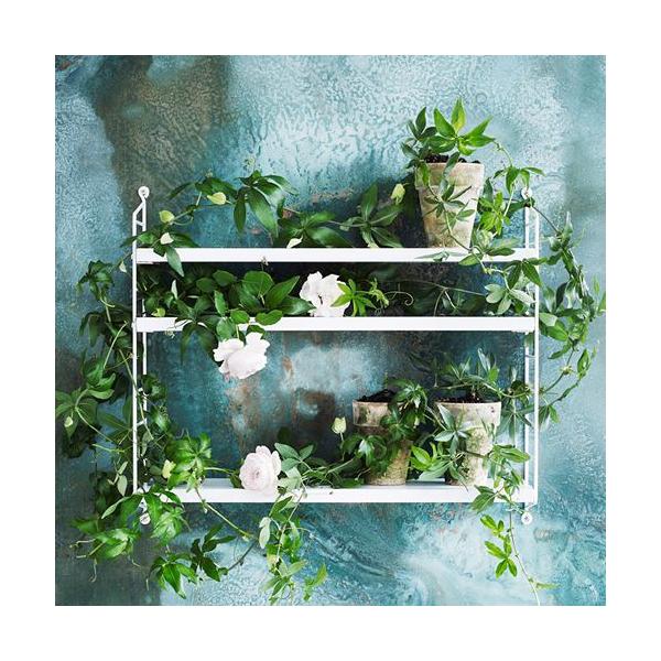 �Ǌ|���V�F���t �k���bstring(�X�g�����O)�Ǌ|�����[ �uPocket(�|�P�b�g)�v�z���C�g�i�v�g���j