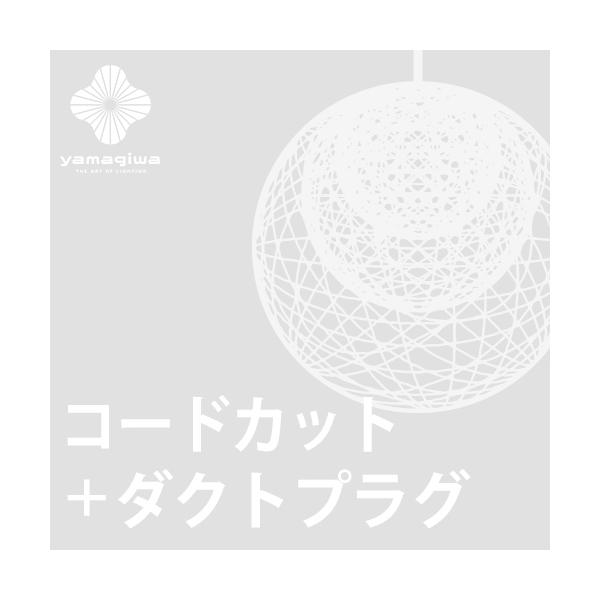 (�_�N�g�v���O�{�R�[�h�J�b�g���H��)MAYUHANA