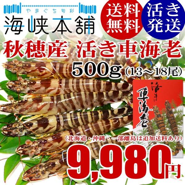 山口県秋穂産の活き車海老500g 13 18尾 お歳暮 ギフト お取り寄せ 車えび クルマエビ 特産品 名物商品 プレゼント Ebi 5 やまぐち旬彩 海峡本舗 通販 Yahoo ショッピング