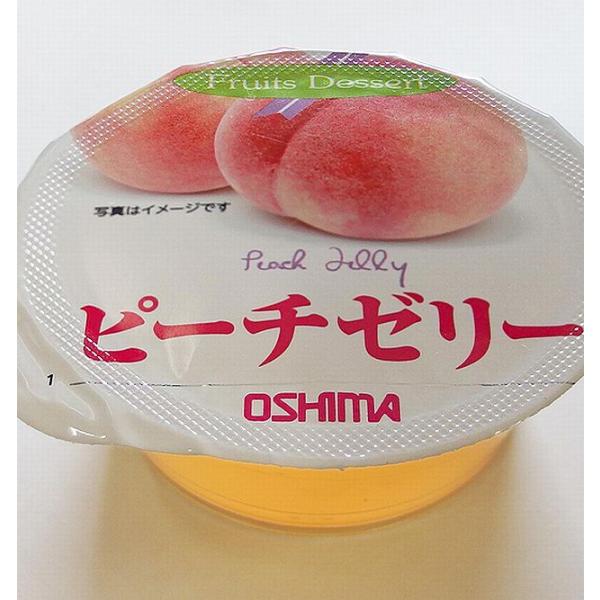 yamaguchikaiseidou_10002000