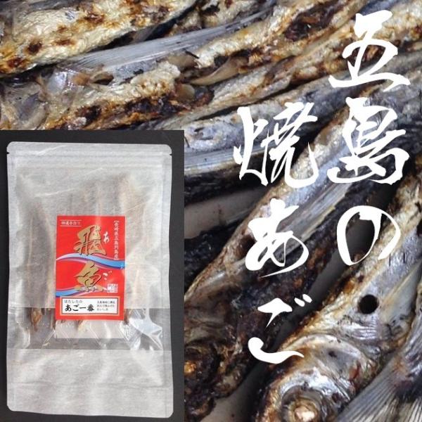 五島列島産【炭火焼きあご】あご一番30g【長崎県】【南松浦郡上