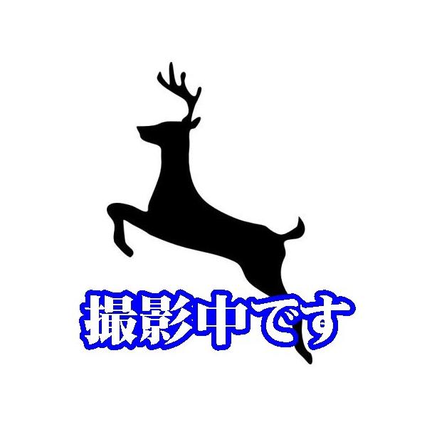 山口県下関市は海の幸、山の幸に恵まれた気候穏やかな地です。餌も豊富なこの自然の中で育った、鹿を市の衛生的な施設で処理・解体しました。独特の獣臭もなく、お客様にも非常に喜ばれています。鹿肉は特に高タンパク低カロリーの肉として知られており、鉄分...