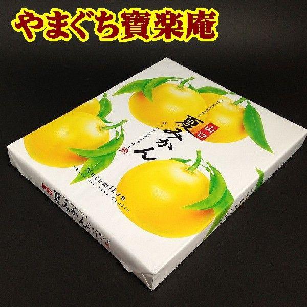山口県】【長門市】【お土産】【やまぐち寶楽庵】山口夏みかんチョコ
