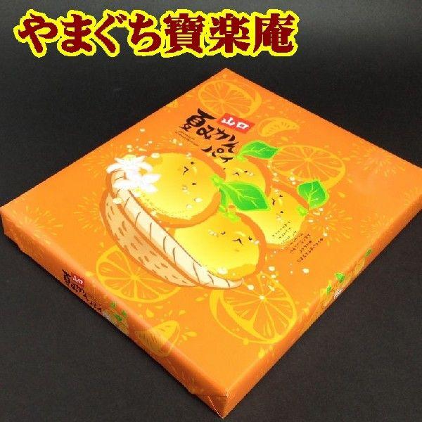 山口県】【長門市】【お土産】【やまぐち寶楽庵】山口夏みかんパイ10