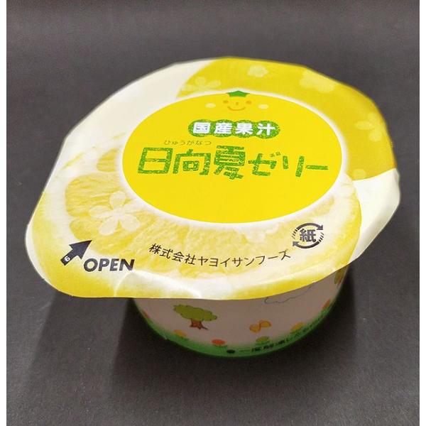 yamaguchikaiseidou_yayoi0008