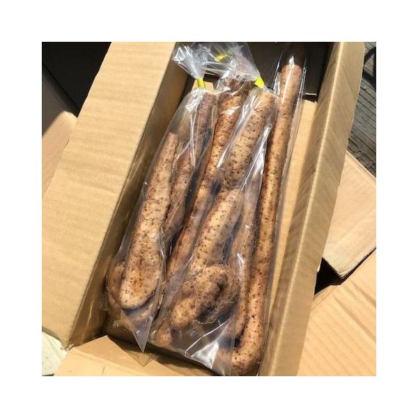 yV\tzyzRYwRijRxiRE˂񂶂j