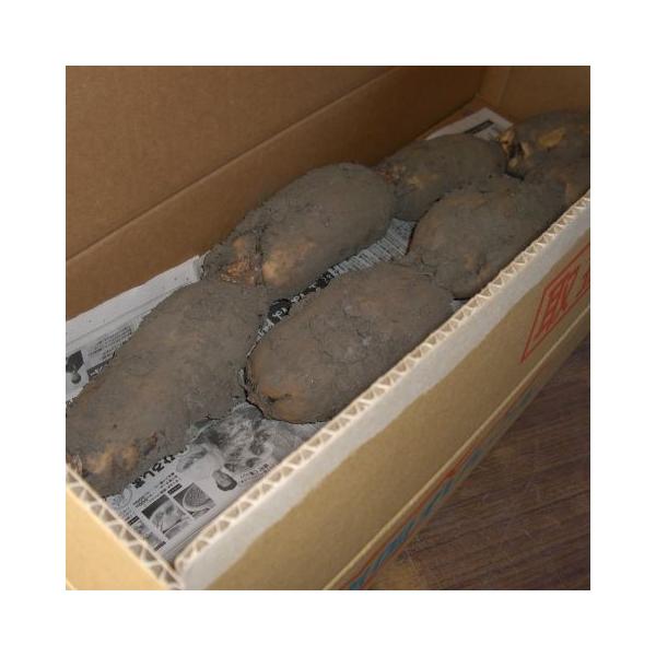 yzyƖpzDtw⍑@i񂱂jPOkgxikEkCE͕ʓr܂j@