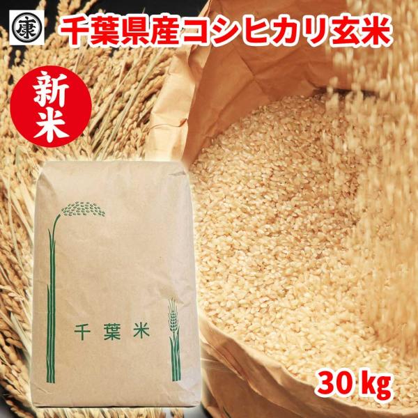 【送料無料(本州)】令和8年産千葉県産コシヒカリ30kg 玄米 卸売り特価販売 新米 30kg