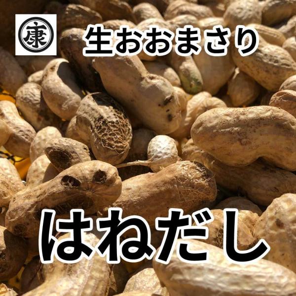 数量限定 はねだし千葉県産生おおまさり3kg ゆで落花生用 わけあり
