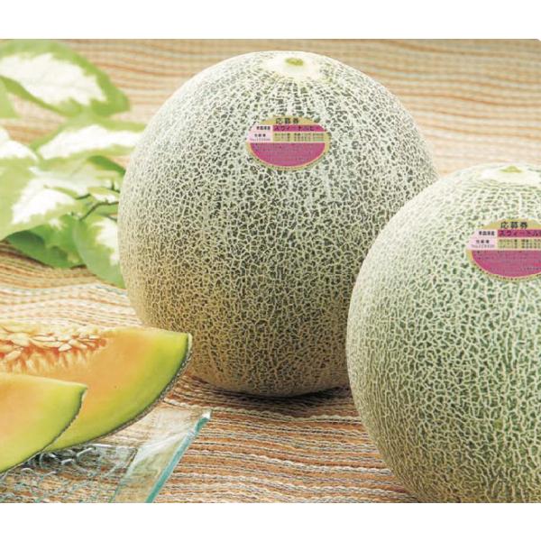 青森県産 メロンの人気商品 通販 価格比較 価格 Com