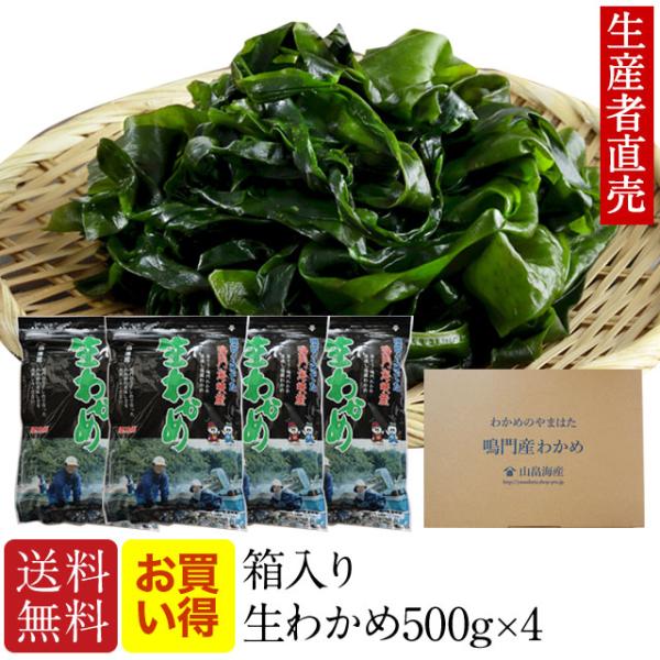 『生産者から直送』【お買い得500g×4個セット】　鳴門海峡産　送料無料でお届けします！！