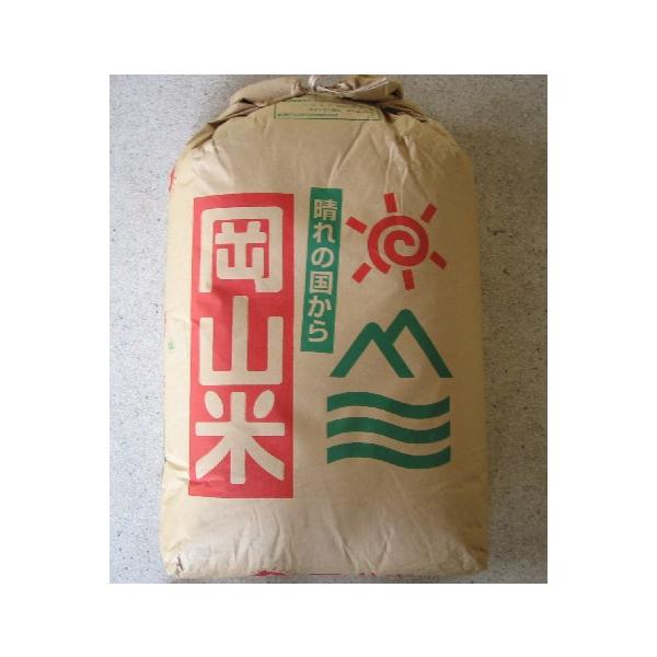 コシヒカリ 令和6年度産岡山県産こしひかり100％玄米25kg : やま