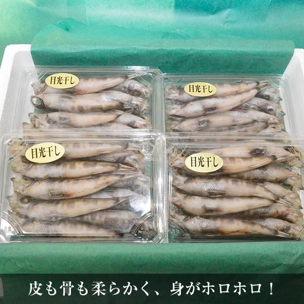 干物 めひかり 目光 メヒカリ干し Buyee Buyee 提供一站式最全面最專業現地yahoo Japan拍賣代bid代拍代購服務 Bot Online