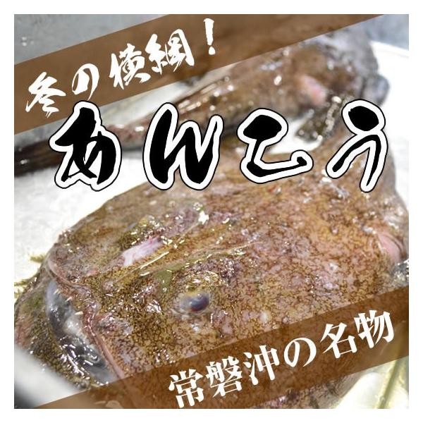 生あんこう　1尾（6.0kg〜7.0kg）　※水揚げ次第発送