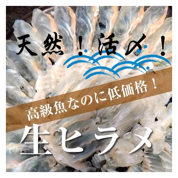 天然！活〆！生ヒラメ　1枚（2.6kg〜3.0kg）　※水揚げ次第発送！