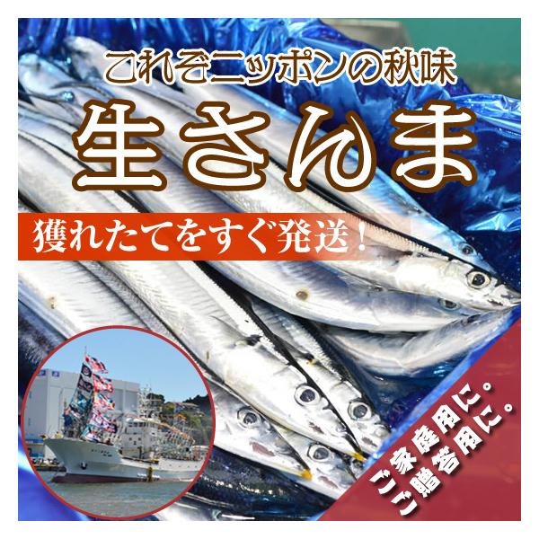 北海道・三陸沖産！獲れたて“中”生サンマ・生さんま・鮮サンマ　113〜136g 15〜16尾（2.0kg）