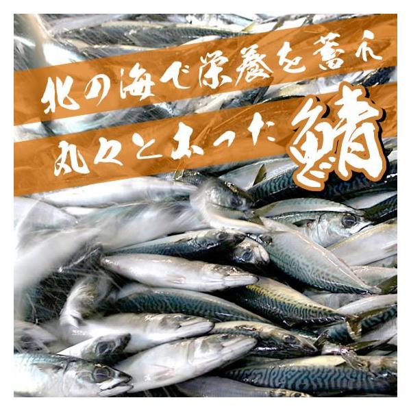 常磐もの・鮮魚・生さば・生サバ　5kg　※水揚げ次第発送（1尾あたり900g〜1kgupが5尾）　