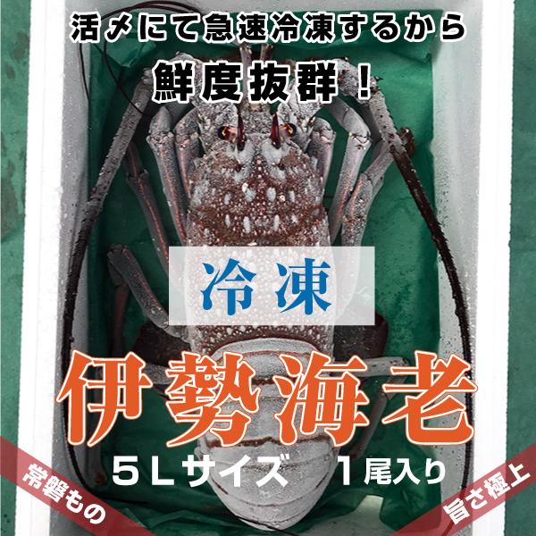 「活〆冷凍伊勢海老」超特大”5Lサイズ”　1ｋｇ　1尾入り　海老・伊勢海老・活伊勢海老・伊勢えび・伊勢エビ　冷凍　活〆