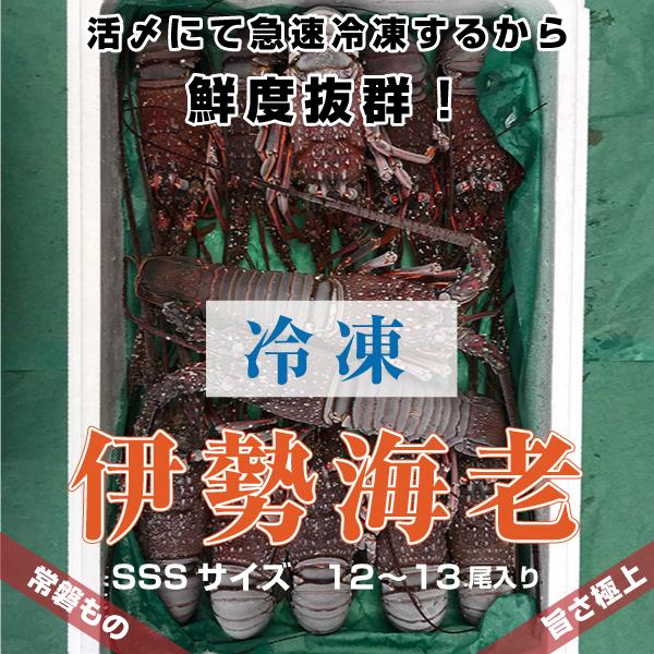 「活〆冷凍伊勢海老」”SSSサイズ”　2ｋｇ　11~12尾入り　海老・伊勢海老・伊勢えび・伊勢エビ　冷凍　活〆