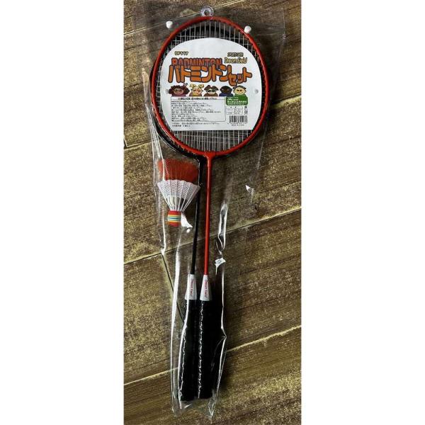 ライテック カラーバドミントンセット [スポーツ レジャー用] DF117