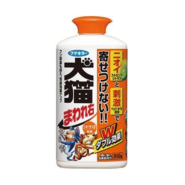 t}L[ L܂E(L)@܁@VgX̍ 850g