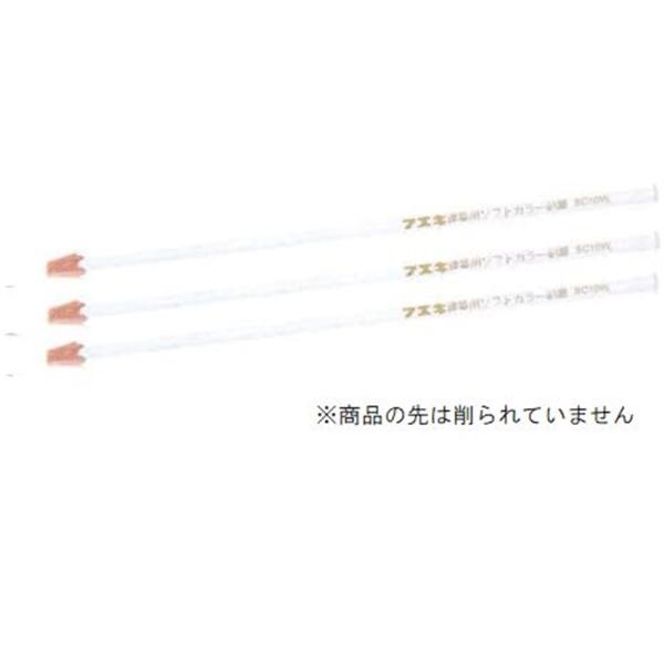 �t�G�L(�s�ՌЍH��) ���z�p�\�t�g�J���[���M �� 3�{�� SC10�|3W