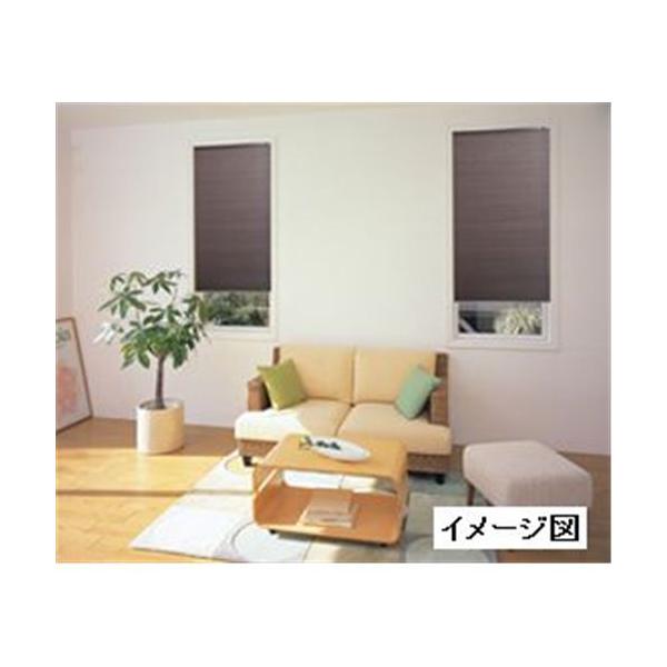 tlX njJuCh  60×135 BR(uE) [VF[h fM ۉ a _rO] L6315