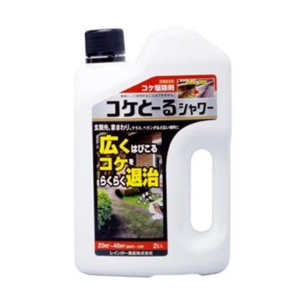 C{[i y_knpzRPƁ[V[ 2L  yllW_z