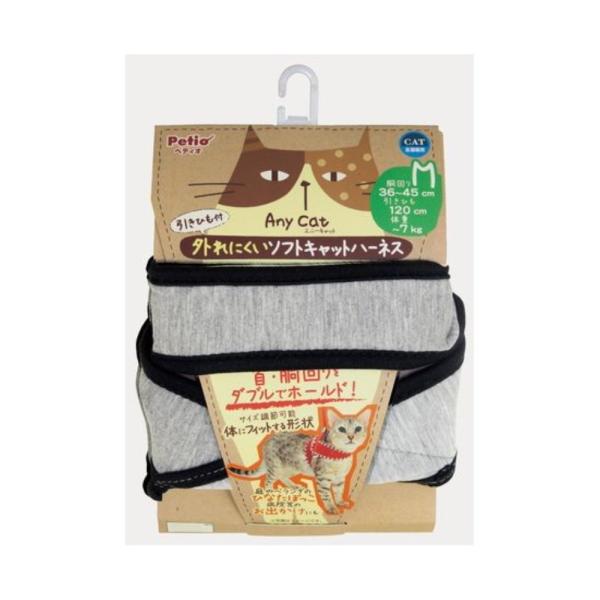 yeBI Anycat Gj[Lbg n[lX Vv M [L Lbg U ł] O[