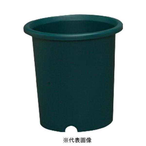 ACXI[} fB[|bg() 12 n^[O[