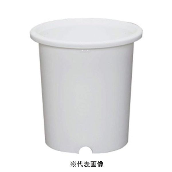 ACXI[} fB[|bg() 14 zCg