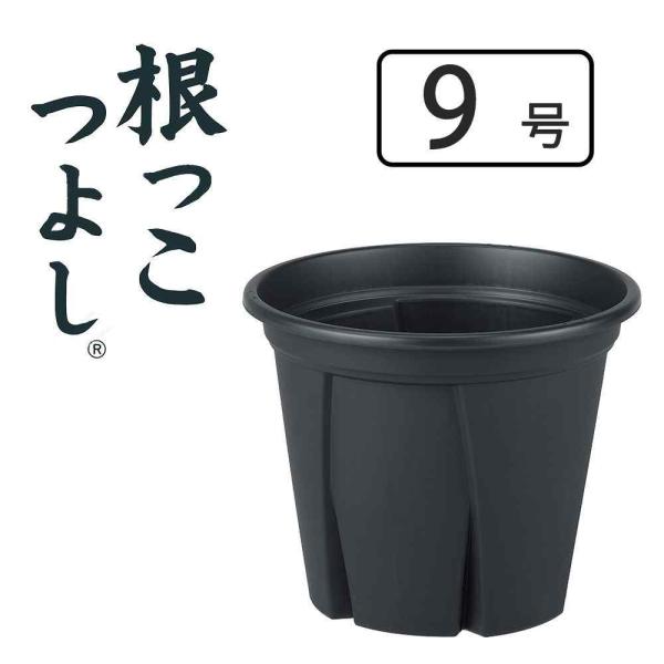 他サイト： アップルウェアー 根っこつよし9号 [植木鉢 プランター 園芸 ガーデニング 観葉植物] ブラック 爆買の商品画像