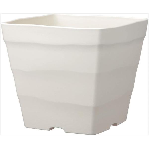 AbvEFA NtgXNGA25^ zCg