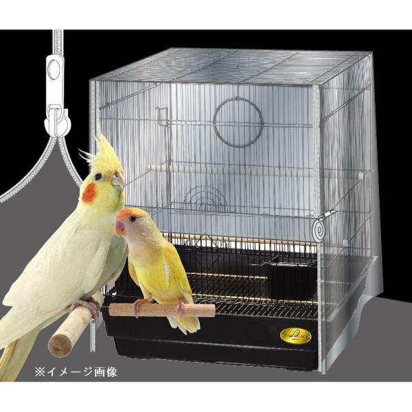 yamakishi_4906456558774