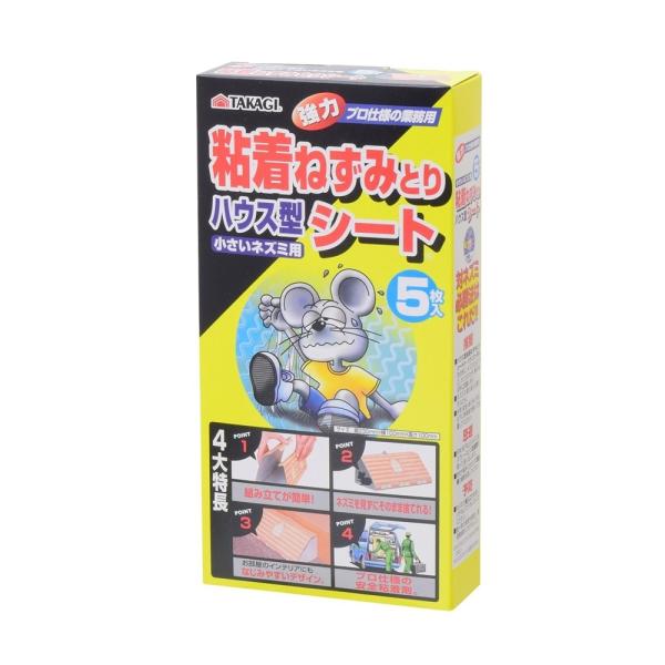 TAKAGI S˂݂ƂV[gnEX^ 5