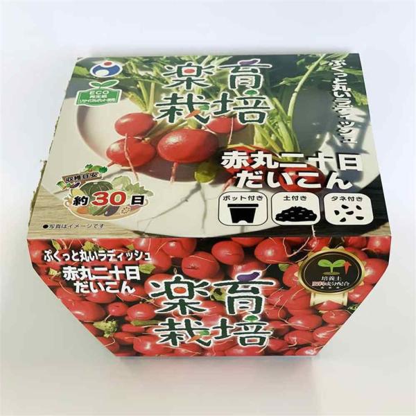 ●楽育栽培キットで、手軽に家庭菜園を始めませんか？●リサイクルポットを使用した環境にも優しい栽培キット●簡単に栽培可能な赤色のミニ大根です●サラダ一夜漬けでおいしいラディッシュ