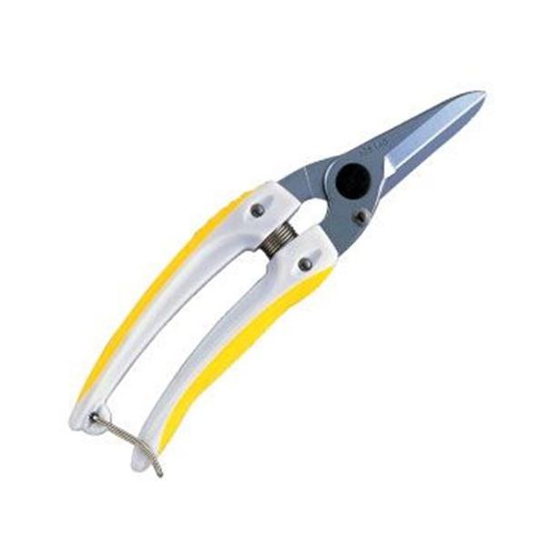 AXR[|[V tA~[DX yʁE^ ԁE|͂ CG[ 140DX-Y