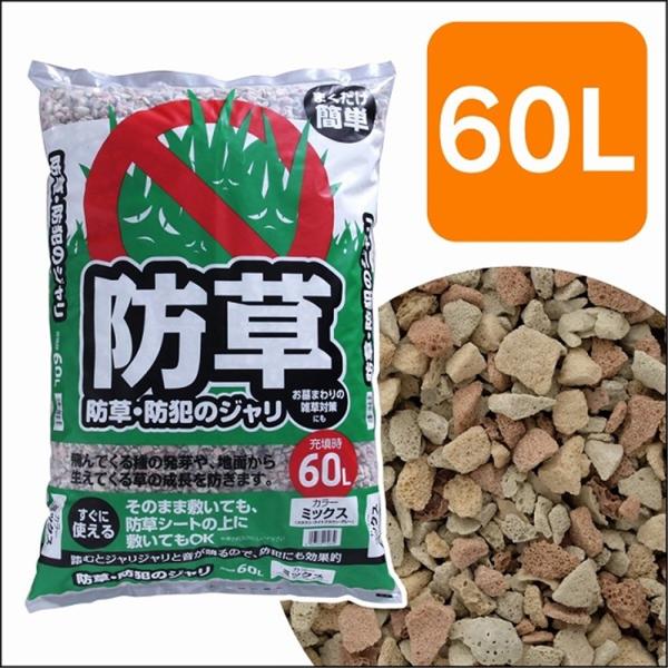 ACXI[} hhƂ̃W 60L ~bNX[ K[fjO ] 60L  yllP_z