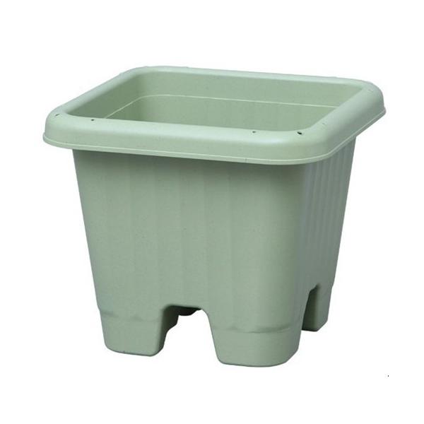 ACXI[} GA[XNGAv^[ (E|pi) ` 300