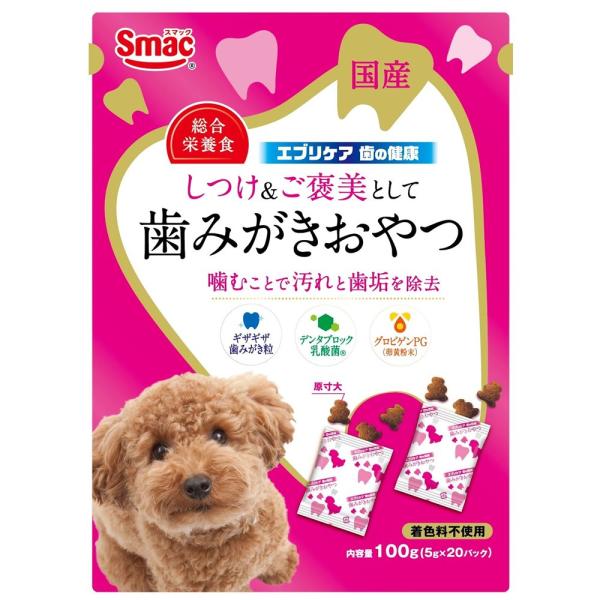 歯の健康 DOG