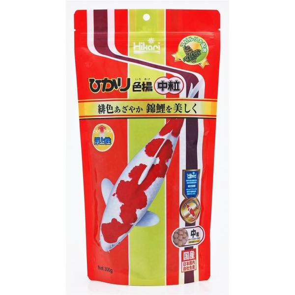 L[ ЂFg() [ь̊Sh{H] 300g