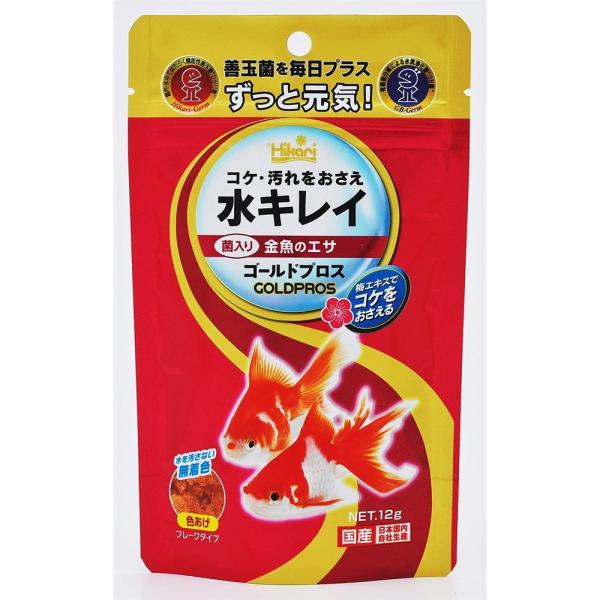 L[ S[hvX [ GT Vt[N] 12g