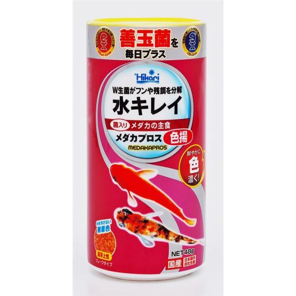 L[ _JvXFg(ۓ胁_J̎H) [߂ GT Ђ  GB 㐫] 48g