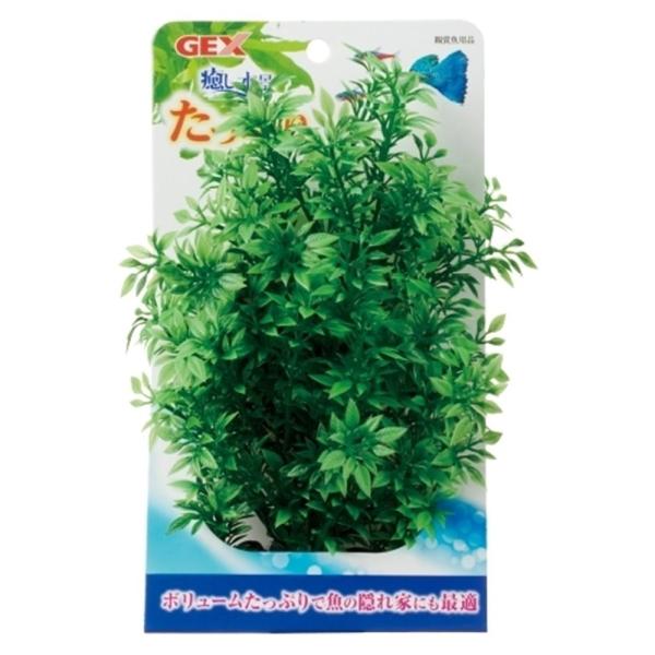 GEX WFbNX i Ղ胍^ [vcANZT[]