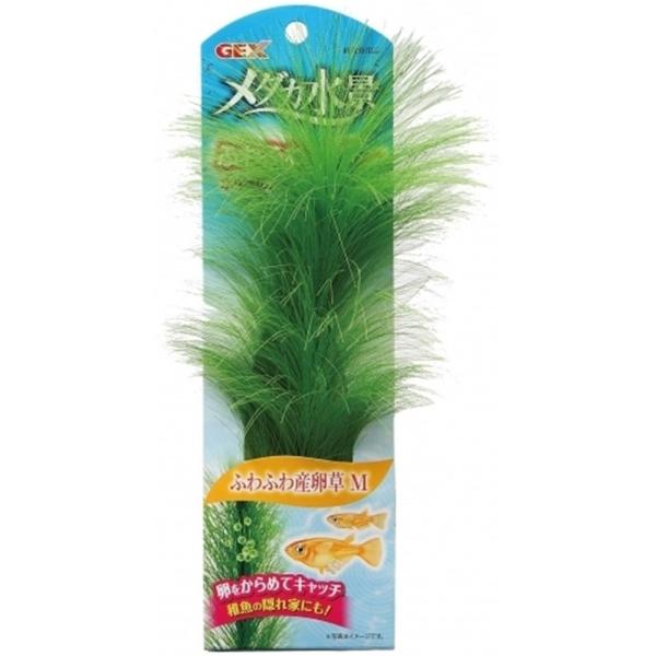 GEX WFbNX _Ji ӂӂY l