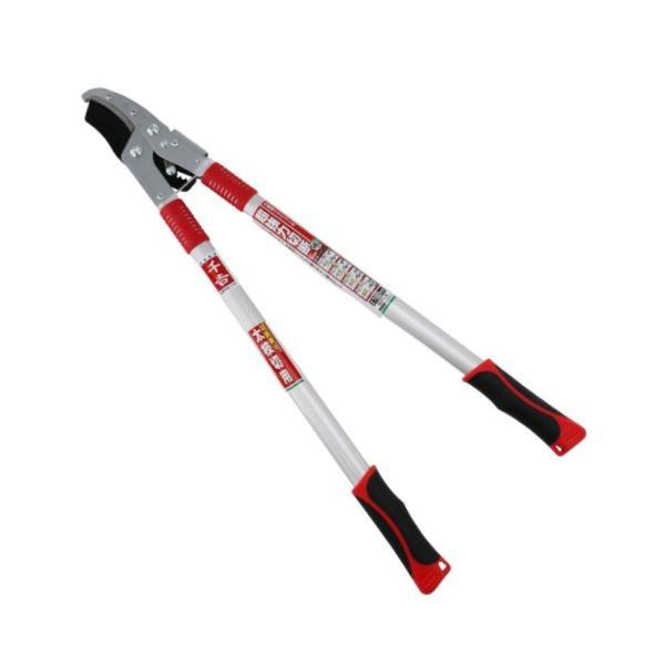 ��g ���`�F�b�g�� ���}���� [���|���� ���|�p�� ������ ���} �� �͂��� �y�� ��v] SGFL-3