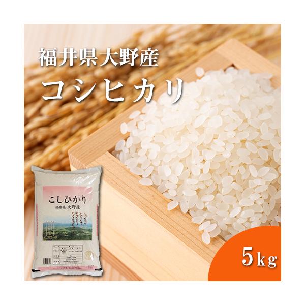 䐸 ߘa7NxY@䌧Y@Ђ RVqJ  5kg  yllS_z